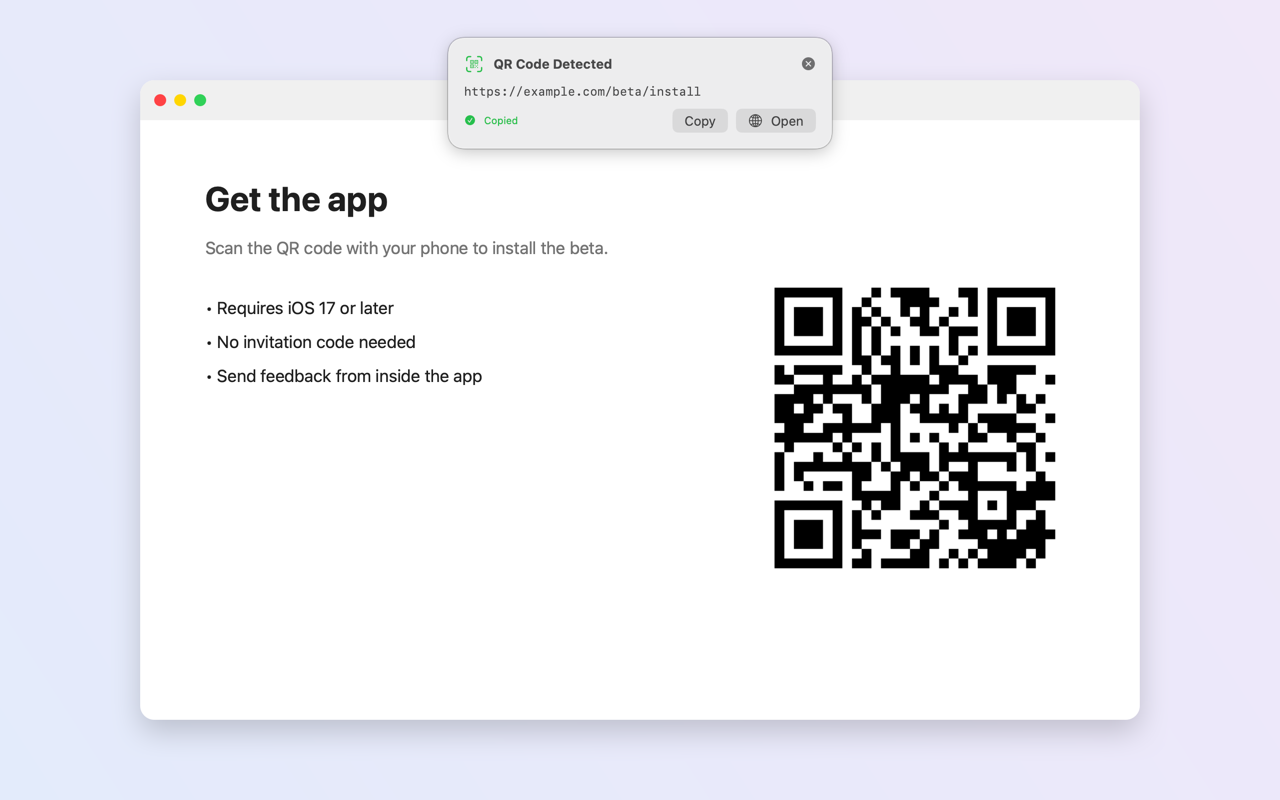 ScreenQR result panel